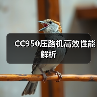 CC950压路机高效性能解析（图2）