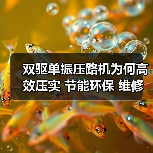 双驱单振压路机为何高效压实 节能环保 维修方便(图3) 双驱单振压路机为何高效压实 节能环保 维修方便(图3)