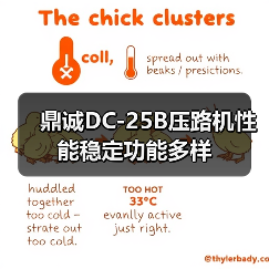 鼎诚DC-25B压路机性能稳定功能多样（图1）