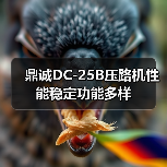 鼎诚DC-25B压路机性能稳定功能多样（图2）