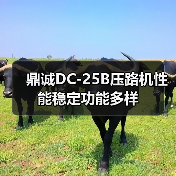 鼎诚DC-25B压路机性能稳定功能多样（图4）