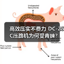 高效压实不费力 DC-25C压路机为何受青睐?(图4) 高效压实不费力 DC-25C压路机为何受青睐?(图4)