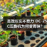 高效压实不费力 DC-25C压路机为何受青睐?(图3) 高效压实不费力 DC-25C压路机为何受青睐?(图3)
