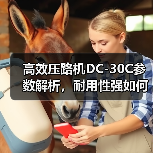 高效压路机DC-30C参数解析,耐用性强如何选?(图1) 高效压路机DC-30C参数解析,耐用性强如何选?(图1)