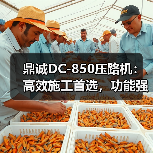 鼎诚DC-850压路机：高效施工首选，功能强大维护便捷（图4）