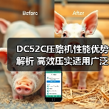 DC52C压路机性能优势解析 高效压实适用广泛（图1）