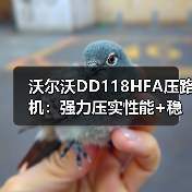 沃尔沃DD118HFA压路机:强力压实性能+稳定操控,高效施工首选(图2) 沃尔沃DD118HFA压路机:强力压实性能+稳定操控,高效施工首选(图2)