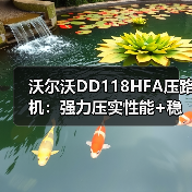 沃尔沃DD118HFA压路机:强力压实性能+稳定操控,高效施工首选(图1) 沃尔沃DD118HFA压路机:强力压实性能+稳定操控,高效施工首选(图1)