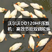 沃尔沃DD120HF压路机：高效节能双钢轮振动压实的首选？（图2）