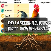 DD145压路机为何高效稳定?解析核心优势与适用场景(图4) DD145压路机为何高效稳定?解析核心优势与适用场景(图4)