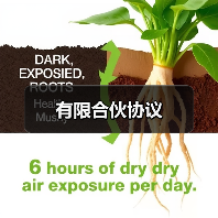 有限合伙协议(图1) 有限合伙协议(图1)