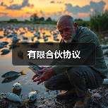 有限合伙协议(图3) 有限合伙协议(图3)