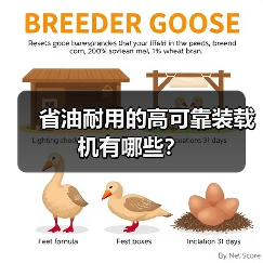 省油耐用的高可靠装载机有哪些？（图1）
