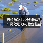 利勃海尔L556II装载机:高效动力与稳定性能如何满足工程需求?(图2) 利勃海尔L556II装载机:高效动力与稳定性能如何满足工程需求?(图2)
