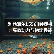 利勃海尔L556II装载机:高效动力与稳定性能如何满足工程需求?(图4) 利勃海尔L556II装载机:高效动力与稳定性能如何满足工程需求?(图4)