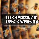 L68K-G国四装载机节能高效 操作便捷作业能力强（图3）