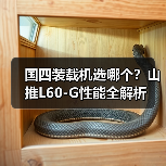 国四装载机选哪个？山推L60-G性能全解析（图1）