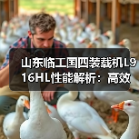 山东临工国四装载机L916HL性能解析:高效作业与稳定耐用如何兼得?(图1) 山东临工国四装载机L916HL性能解析:高效作业与稳定耐用如何兼得?(图1)