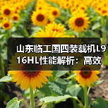 山东临工国四装载机L916HL性能解析:高效作业与稳定耐用如何兼得?(图2) 山东临工国四装载机L916HL性能解析:高效作业与稳定耐用如何兼得?(图2)
