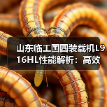 山东临工国四装载机L916HL性能解析:高效作业与稳定耐用如何兼得?(图4) 山东临工国四装载机L916HL性能解析:高效作业与稳定耐用如何兼得?(图4)