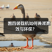 国四装载机如何兼顾高效与环保？（图4）