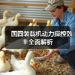 国四装载机动力操控效率全面解析（图4）