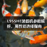 L955HE装载机参数解析，高性能选择指南（图2）