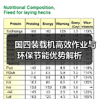 国四装载机高效作业与环保节能优势解析（图3）