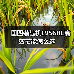 国四装载机L956HL高效节能怎么选（图3）