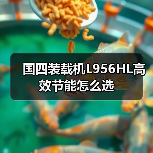 国四装载机L956HL高效节能怎么选（图4）