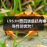L953H国四装载机有哪些性能优势？（图2）