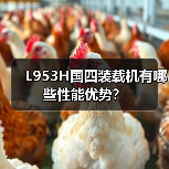 L953H国四装载机有哪些性能优势？（图3）