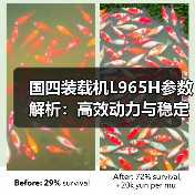 国四装载机L965H参数解析：高效动力与稳定性能（图1）