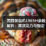 国四装载机L965H参数解析：高效动力与稳定性能（图4）