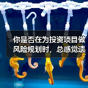 你是否在为投资项目做风险规划时,总感觉遗漏了什么?(图2) 你是否在为投资项目做风险规划时,总感觉遗漏了什么?(图2)