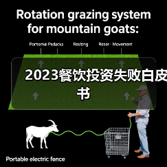 2023餐饮投资失败白皮书（图4）
