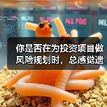 你是否在为投资项目做风险规划时,总感觉遗漏了什么?(图4) 你是否在为投资项目做风险规划时,总感觉遗漏了什么?(图4)