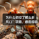 为什么你投了那么多“风口”项目，最后却血本无归，而别人家的私