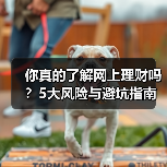 你真的了解网上理财吗？5大风险与避坑指南（图3）