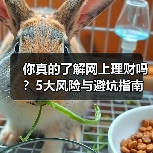 你真的了解网上理财吗？5大风险与避坑指南（图4）